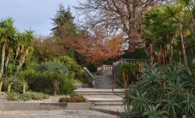 Já conhece os roteiros dos jardins históricos?