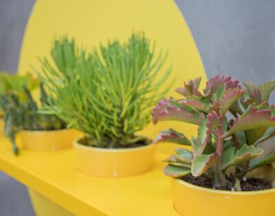 Liiiving in Porto | Clérigos Terrace Apartment