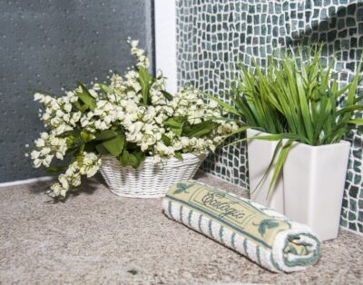 Casa Martagão do Gerês