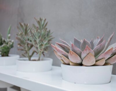 Liiiving in Porto | Clérigos Terrace Apartment